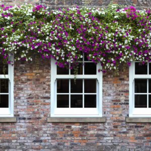 uPVC Sliding Sash Windows